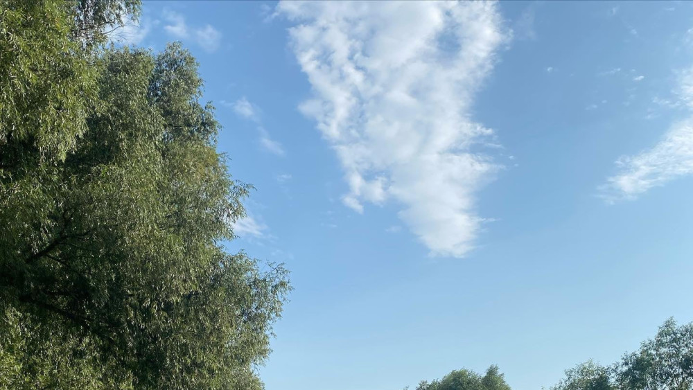Locul turistic din România care ascunde o comoară Este unic în Europa dar puțini români știu de el. Așa ceva mai întâlnești doar în pădurile tropicale