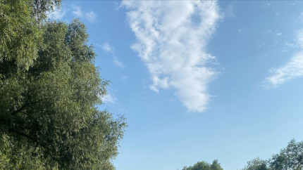 Locul turistic din România care ascunde o comoară Este unic în Europa dar puțini români știu de el. Așa ceva mai întâlnești doar în pădurile tropicale