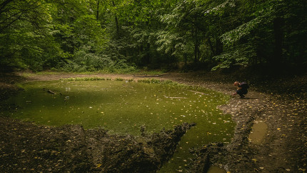 Locul din România considerat poarta Iadului. Aici s-ar împlini orice blestem. E foarte aproape de București