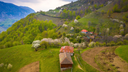 Locul din România în care te simți ca în Japonia. E un adevărat paradis iar mirosul de aici e unic