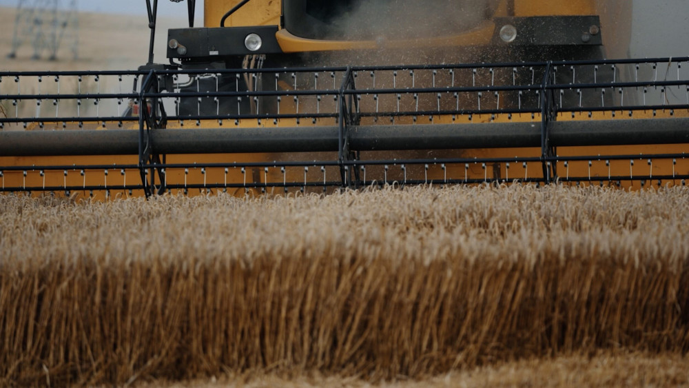 După scandalul cu apa de la Lungulețu agricultorii mai primesc o palmă din partea statului. Cum vor rămâne fără 1.000 de lei