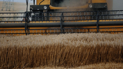 După scandalul cu apa de la Lungulețu agricultorii mai primesc o palmă din partea statului. Cum vor rămâne fără 1.000 de lei