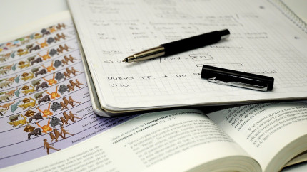 Se modifică iar examenul de Bacalaureat Ce obligații au elevii încă de acum la final de an. E oficial