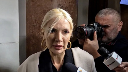 Cine este cu adevărat Laura Vicol Ce studii are la bază ce vârstă are și ce avere a acumulat în perioada în care a fost deputat PSD
