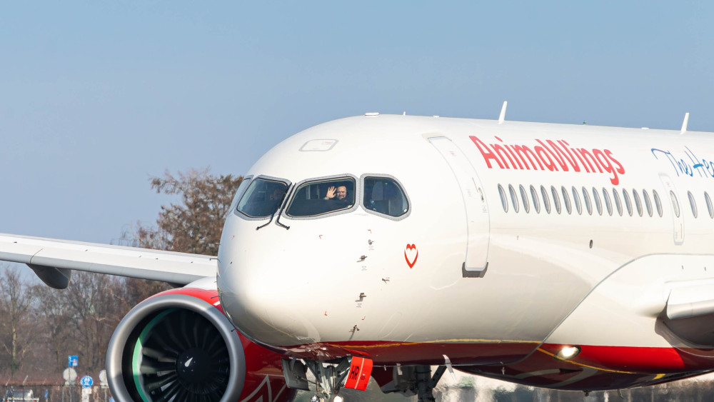 AnimaWings anunță introducerea zborurilor regulate către Istanbul. Cât va costa biletul de avion prețul este foarte mic