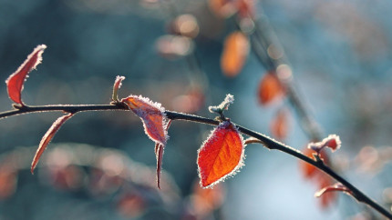 METEO. Vreme rece marți 28 octombrie dar vin vești bune pentru miercuri. Prognoza ANM de ultimă oră. Ce temperaturi vom avea