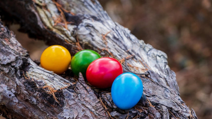 Câte zile se pot mânca ouăle roșii în siguranță după vopsire și cum îți dai seama că nu mai sunt bune