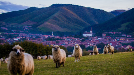 Satul de poveste din Mărginimea Sibiului desemnat printre cele mai atractive din lume de experții ONU Rășinari transformat radical cu bani europeni