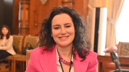 Cine este Larisa Mezinu-Bălan noul președinte al CNAS studiile reale averea din Deltă și legătura directă cu Alexandru Rogobete